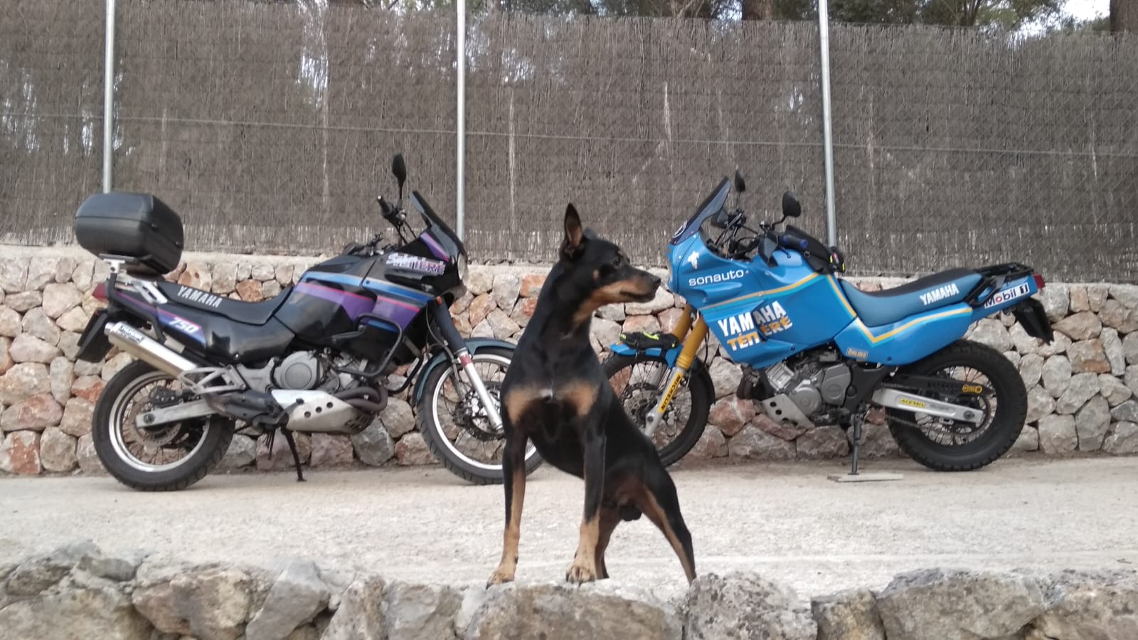 IMG 20190920 WA0007