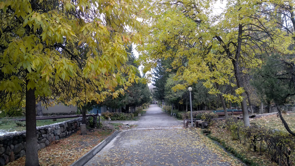 IMG 20191012 135600 1