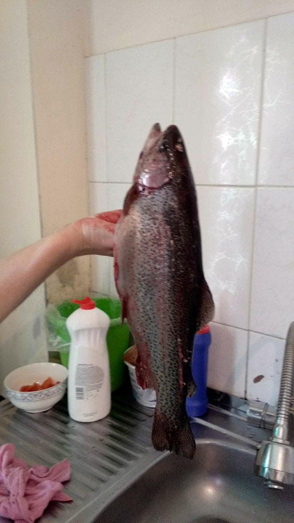 IMG 20191012 143023 1